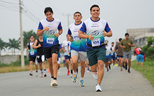 Galería deportes Stratus