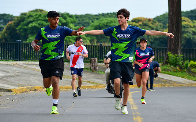 Galería deportes Stratus
