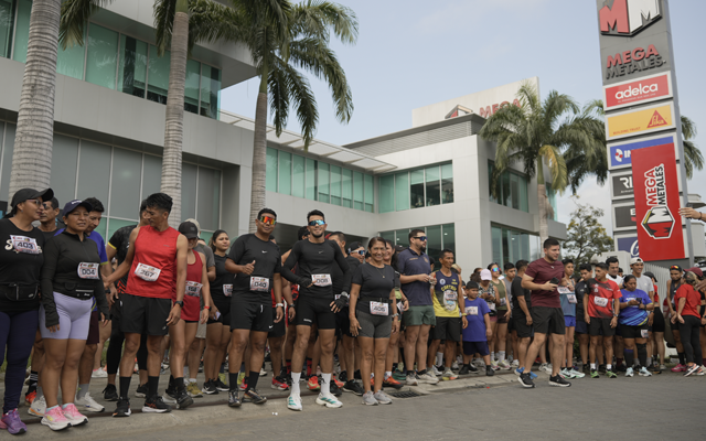 Galería deportes Stratus
