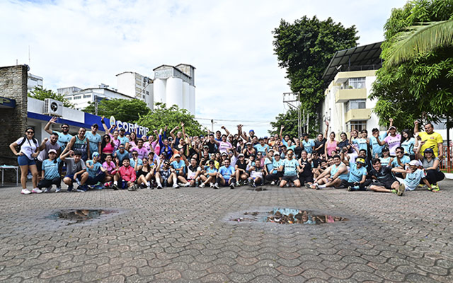 Galería deportes Stratus