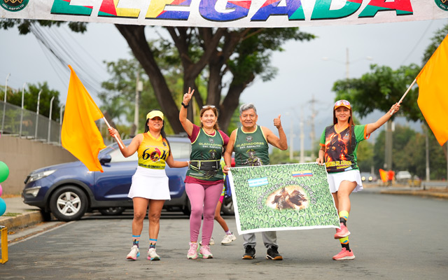 Galería deportes Stratus