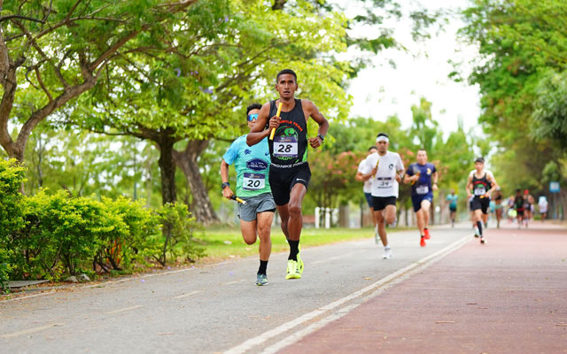 Galería deportes Stratus