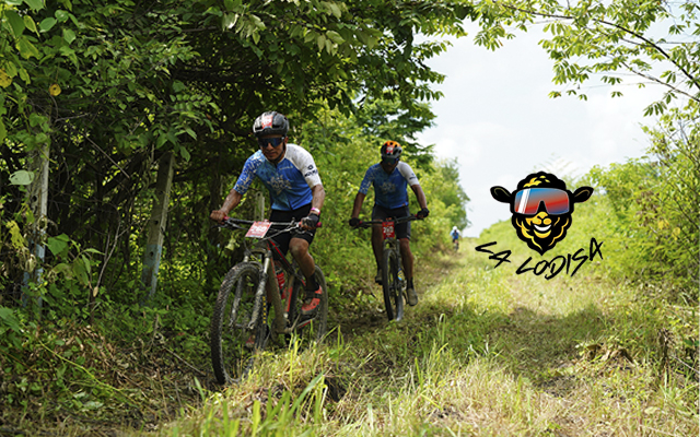 Galería deportes Stratus