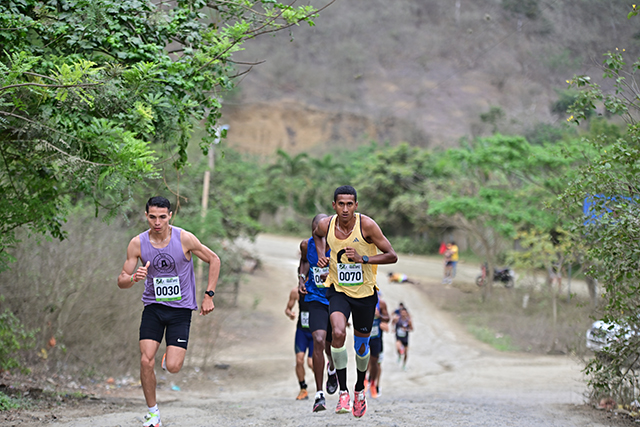 Galería deportes Stratus