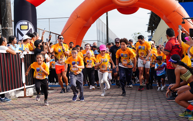 Galería deportes Stratus