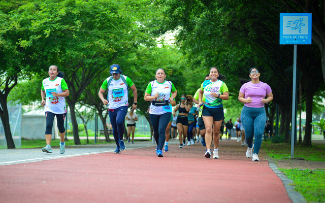 Galería deportes Stratus