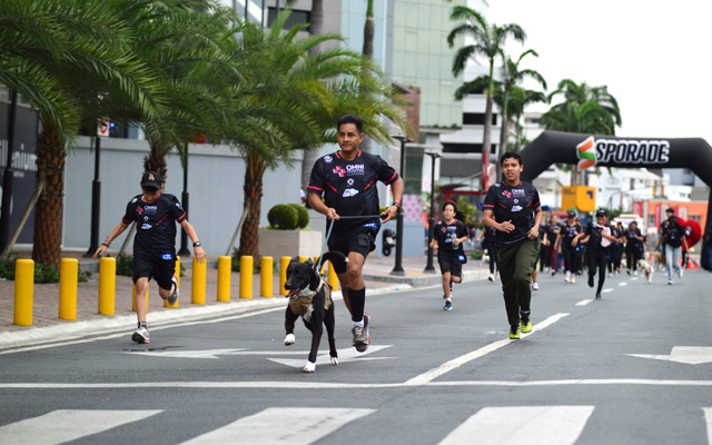 Galería deportes Stratus